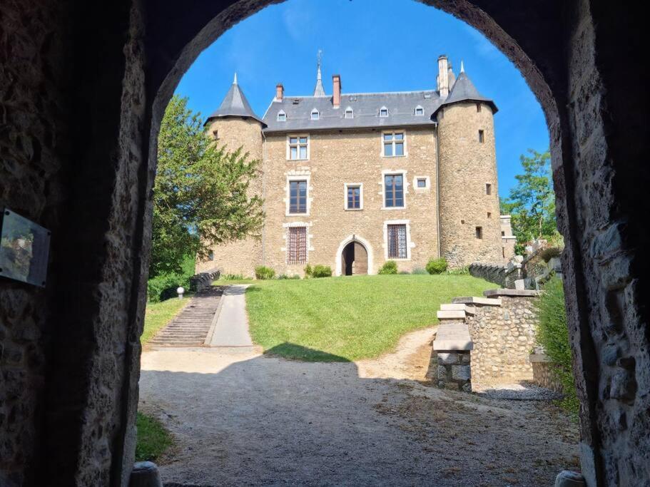 Chateau D'Uriage - Duplex Avec Terrasse Privative Saint-Martin-dʼUriage Buitenkant foto